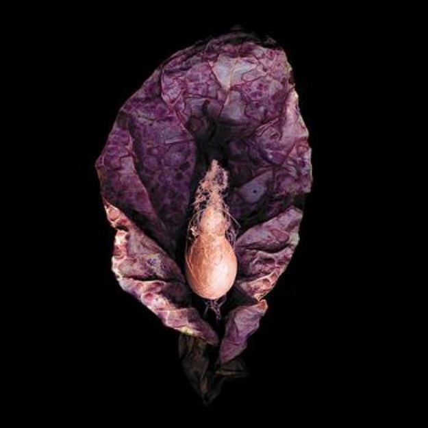 Obrázok Darsombra - Ecdysis (CD)