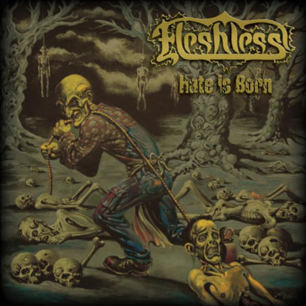 Obrázok Fleshless - Hate Is Born (CD)