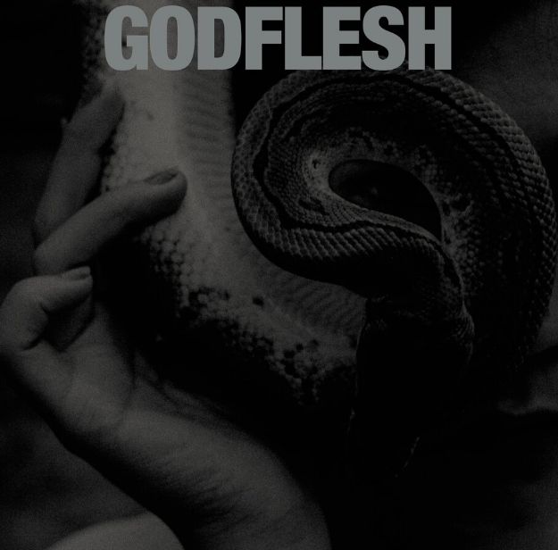 Obrázok Godflesh - Purge (CD)
